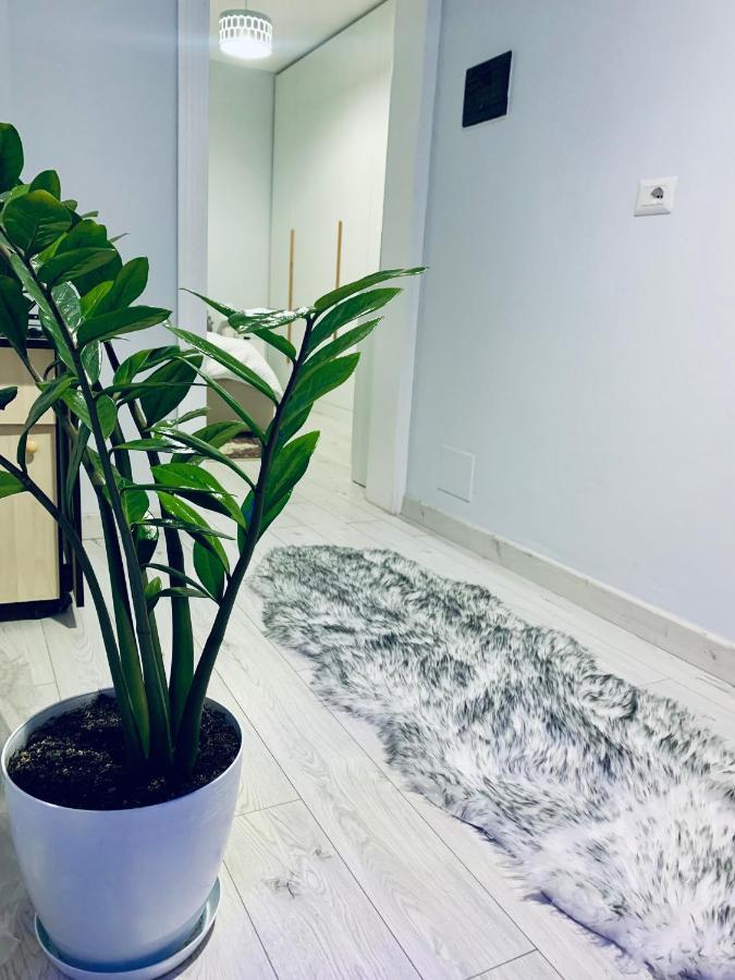 Apartamento Cozy Corner Tirana Exterior foto